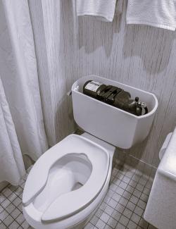 Black and white image of pressure assisted toilet with tank lid open