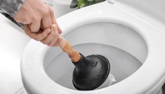 Two hands poised to place a plunger into a toilet bowl